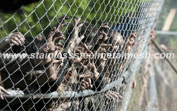 Stainless Steel Chain Link Fence Mesh